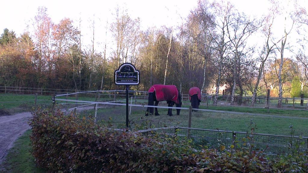 Vakantiehuis "Aan De Zandweg" Roderesch Номер фото